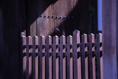 Close-up of metallic wood