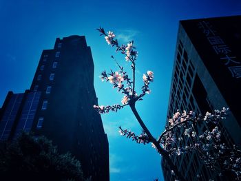 Low angle view of building against blue sky