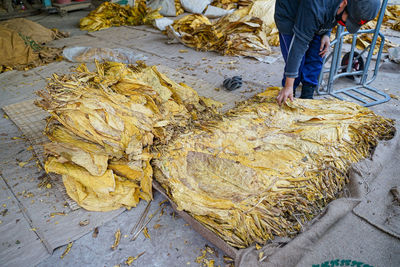 Low section of person standing by food at market