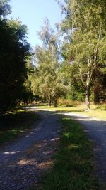 Footpath in park