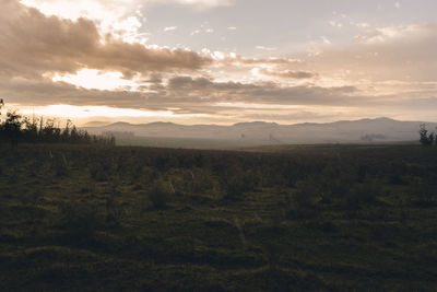 Scenic view of field against sky during sunset