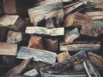 Full frame shot of wooden logs in forest