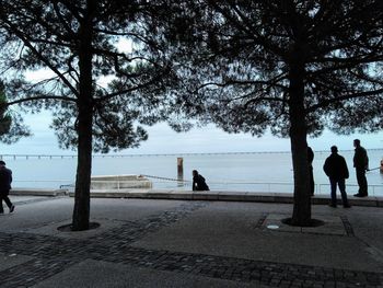 Rear view of people walking on road along trees