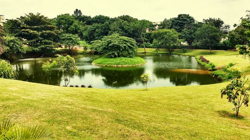 Pond in park