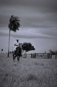 Horse on field against sky