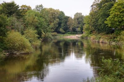 Scenic view of lake by trees