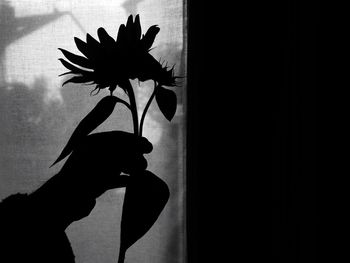 Close-up of silhouette hand against plant