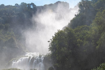 Scenic view of waterfall in forest