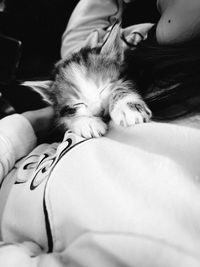 pet