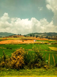 Scenic view of field against cloudy sky