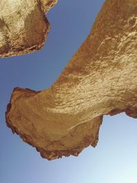 Low angle view of tree against clear sky