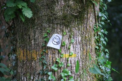 Paper with smiley face on tree trunk