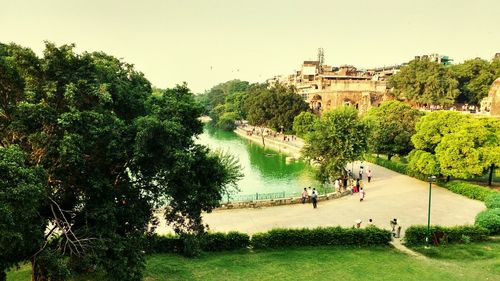 People by trees against clear sky