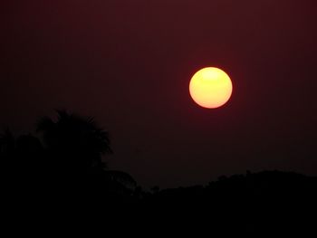 Silhouette of trees at sunset