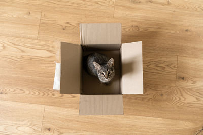 High angle view of box on hardwood floor