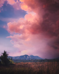 Scenic view of field against sky during sunset