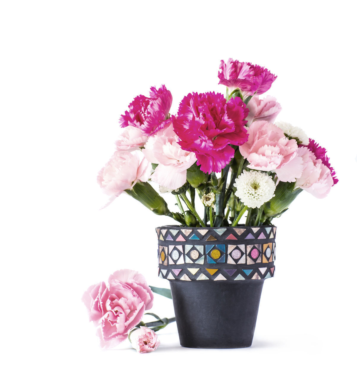 CLOSE-UP OF PINK ROSE FLOWER VASE AGAINST WHITE BACKGROUND