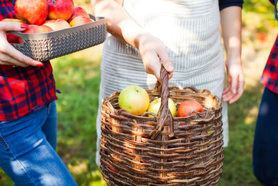 Midsection of woman holding apple in basket