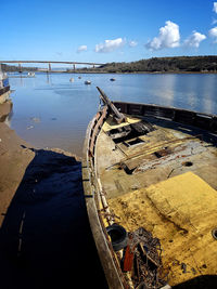 Reflection of trees in water