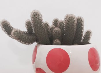 Close-up of colored background