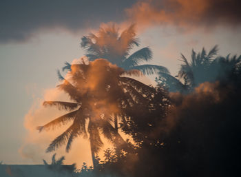 Low angle view of silhouette palm trees against sky at sunset