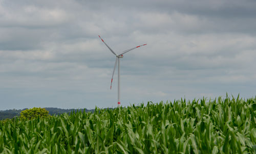 Windmills on field against sky