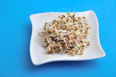 High angle view of rice in plate on table