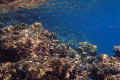 sea
