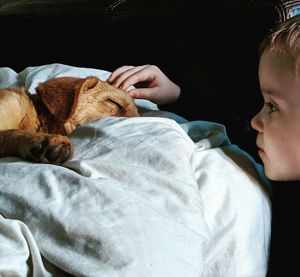 Cute boy petting dog sleeping on bed at home