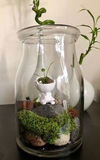 Close-up of plants in glass jar on table
