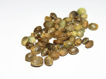 Close-up of bell against white background