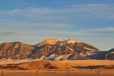 Fan mountain sunset with deer grazing in the field