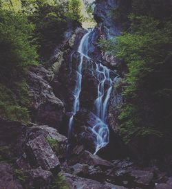 View of waterfall in forest