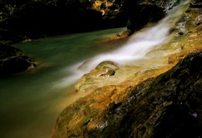 Scenic view of waterfall in forest