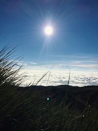 Scenic view of field against blue sky