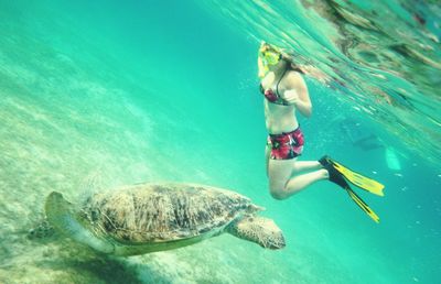 Woman swimming in sea