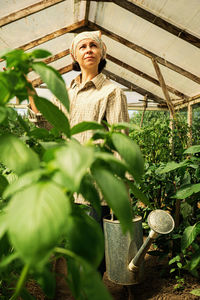 Woman looking away while standing by plants in greenhouse