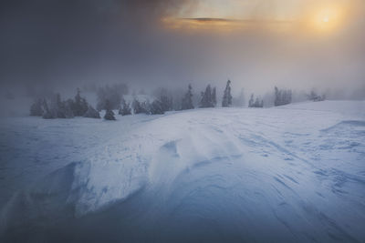 Foggy winter scenes from apuseni mountains, romania.