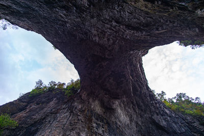 Low angle view of tree against sky