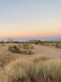 Scenic view of field against sky during sunset