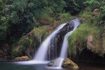 Scenic view of waterfall in forest