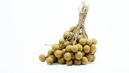 Close-up of berries against white background