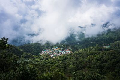 High angle view of trees and plants against sky