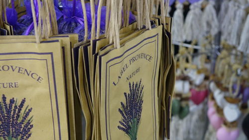 Close-up of flowers hanging in museum