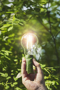 Hand holding lightbulb