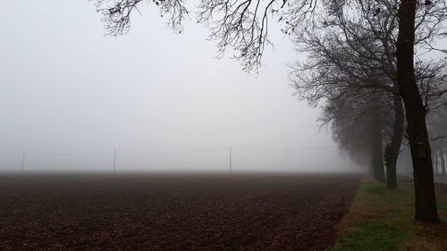 Trees on field against sky during winter