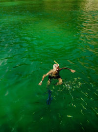 High angle view of fish swimming in sea