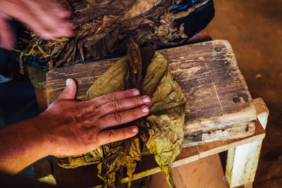 Cropped hands of man making cigar