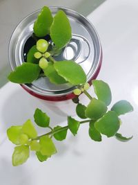 High angle view of vegetables in jar