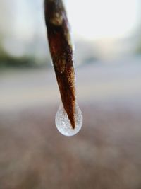 Close-up of water drop